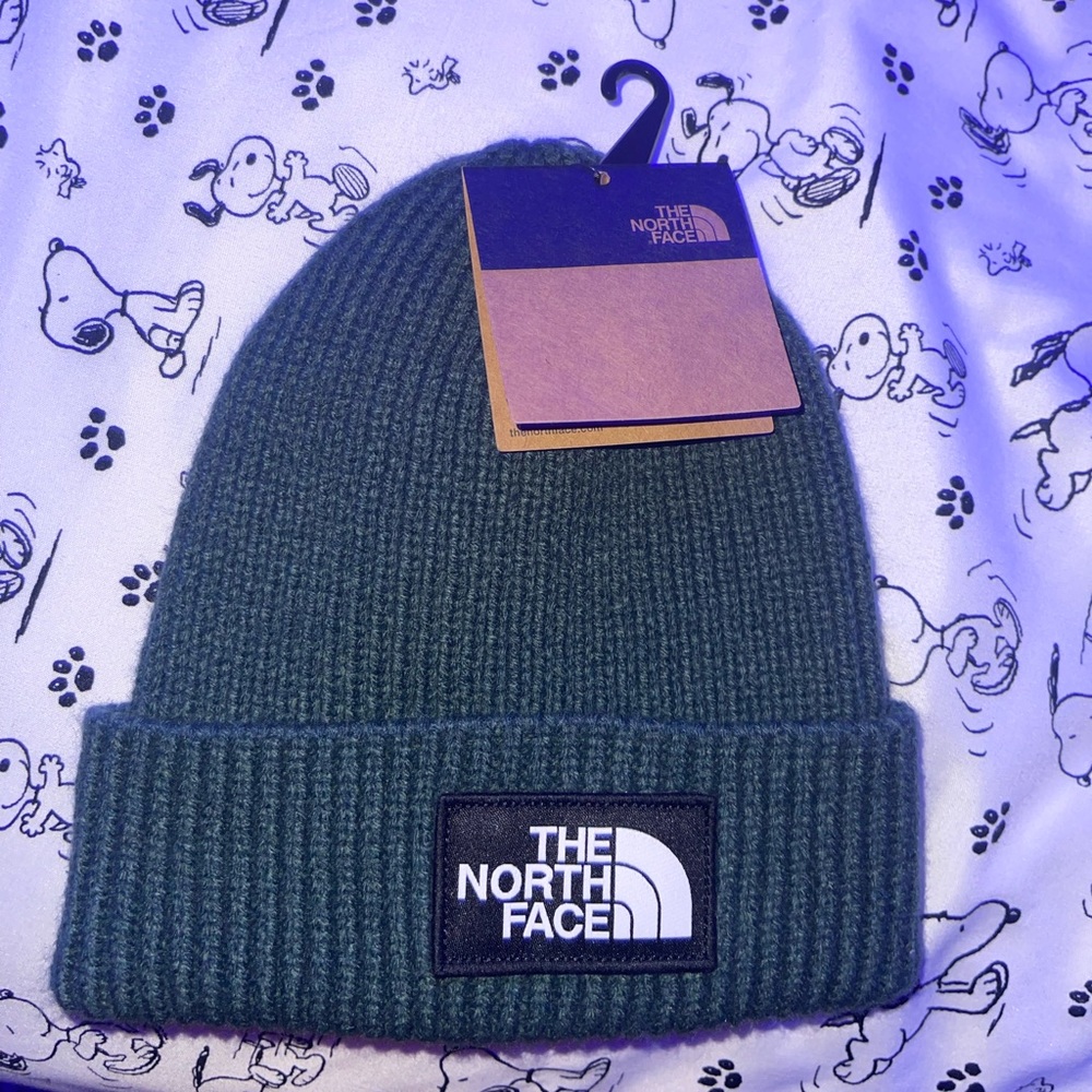 This is a north face hat. This hat run small